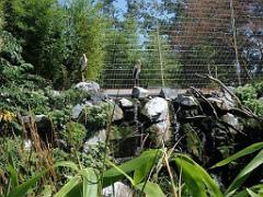 101PARC AUX OISEAUX DANS L AIN 2016 2_000026